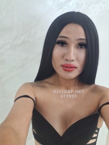 Транс Шымкента Транс№477955 Сиви Универсалка Фотография №3701170